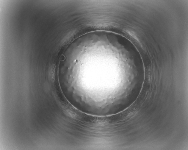 X0000071820495200607072147