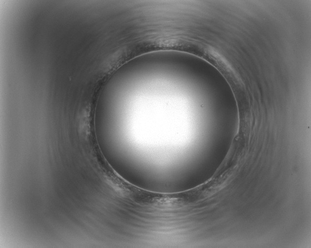 X0000071820497200607072147
