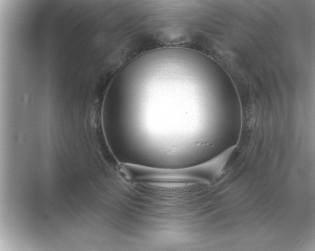 X0000071820515200607072146