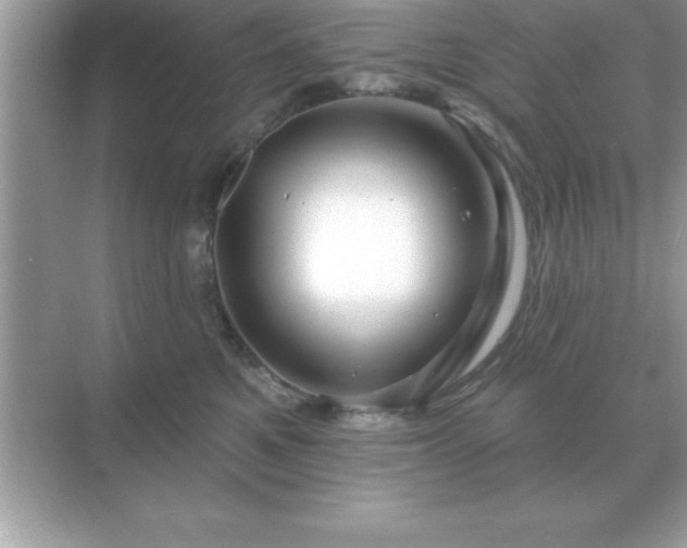 X0000071820521200607072146