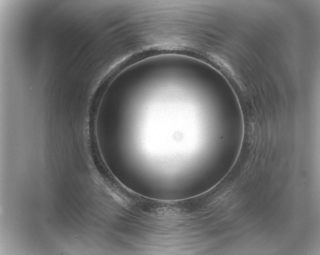 X0000071820535200607072146