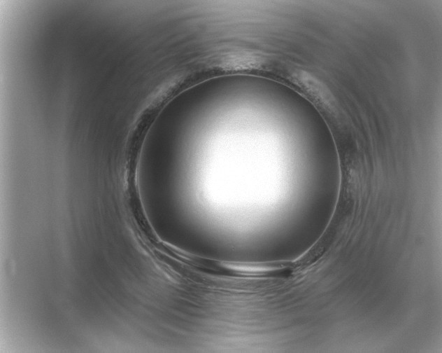 X0000071820539200607072146