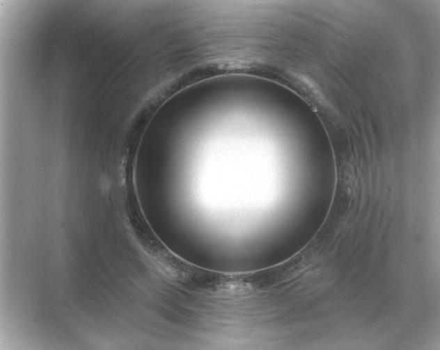 X0000071820543200607072146