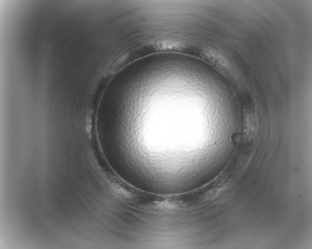 X0000071820545200607072146