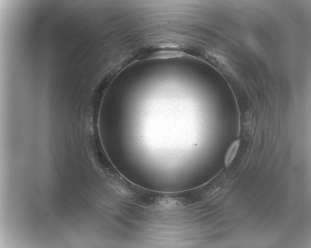 X0000071820547200607072146