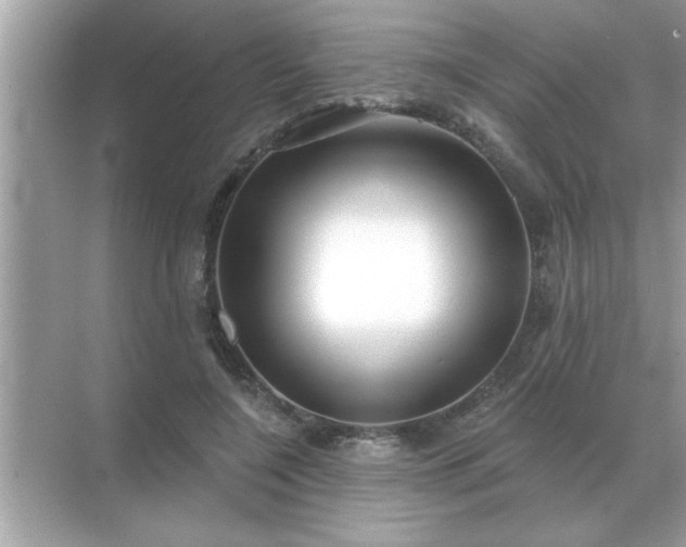 X0000071820548200607072146