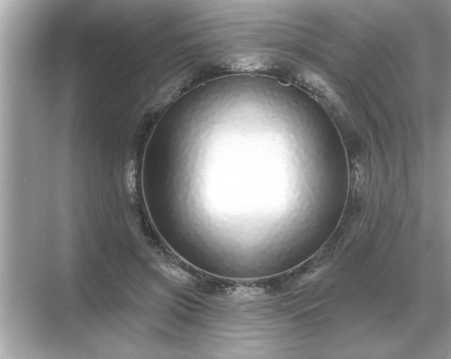 X0000071820549200607072146