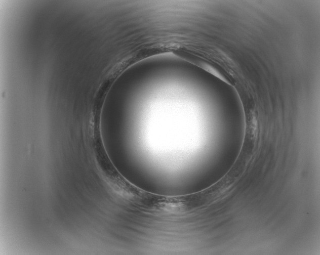 X0000071820552200607072146