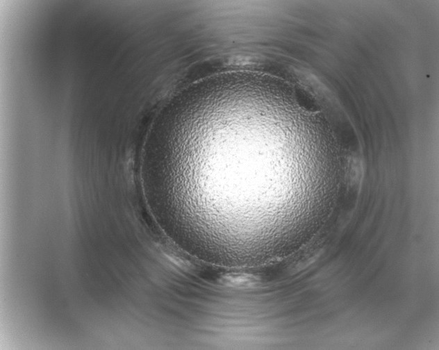 X0000071820557200607072146