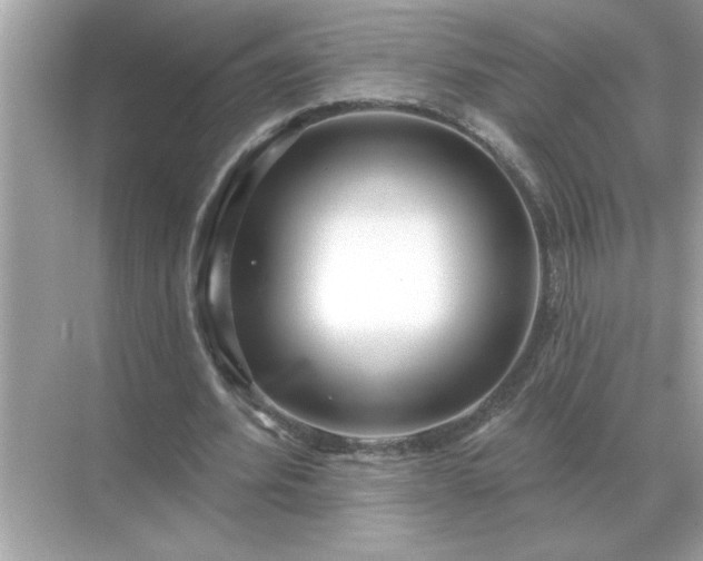 X0000071820580200607072145