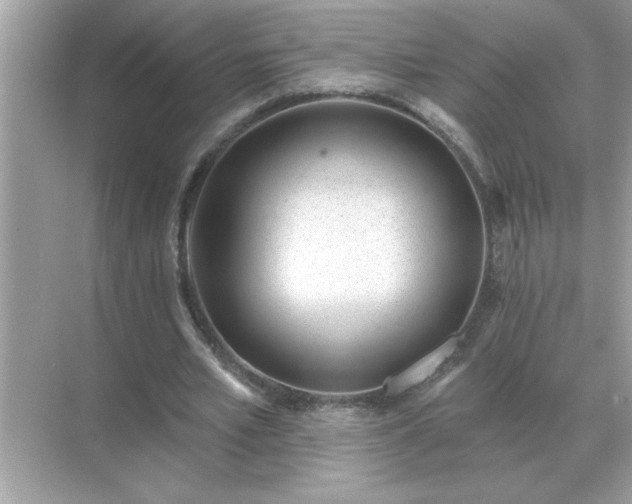 X0000071820581200607072145