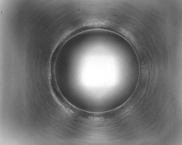 X0000071820582200607072145