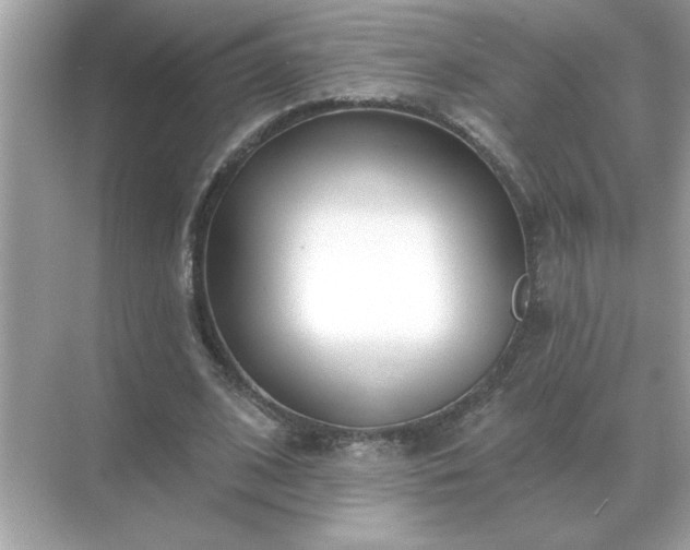 X0000071820584200607072145