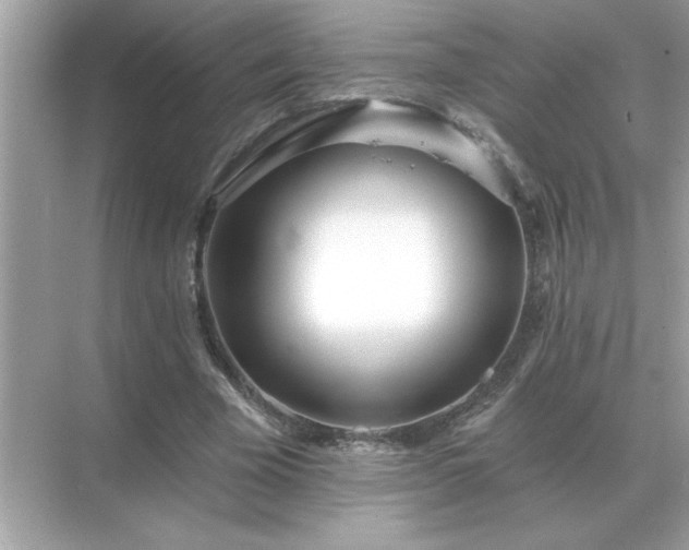 X0000071820585200607072145