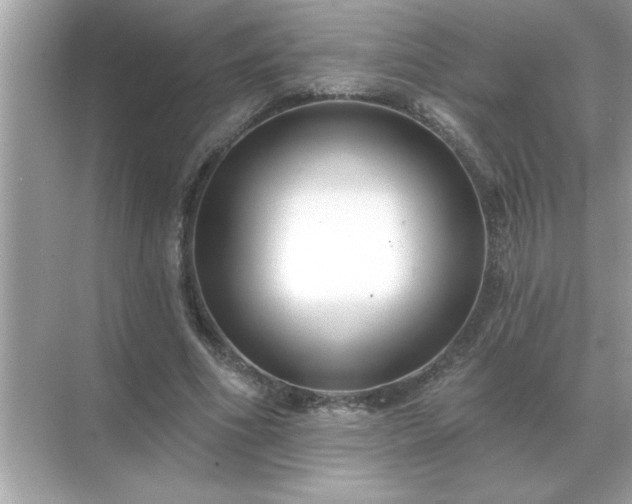 X0000071820586200607072145