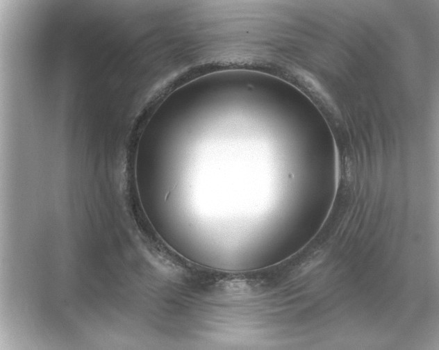 X0000071820588200607072145