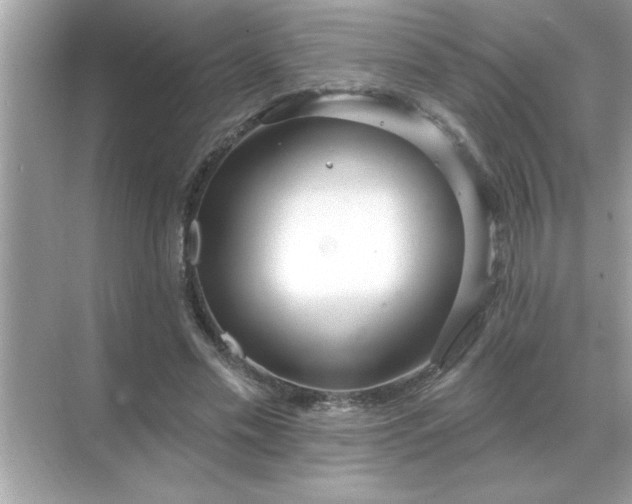 X0000071820589200607072145