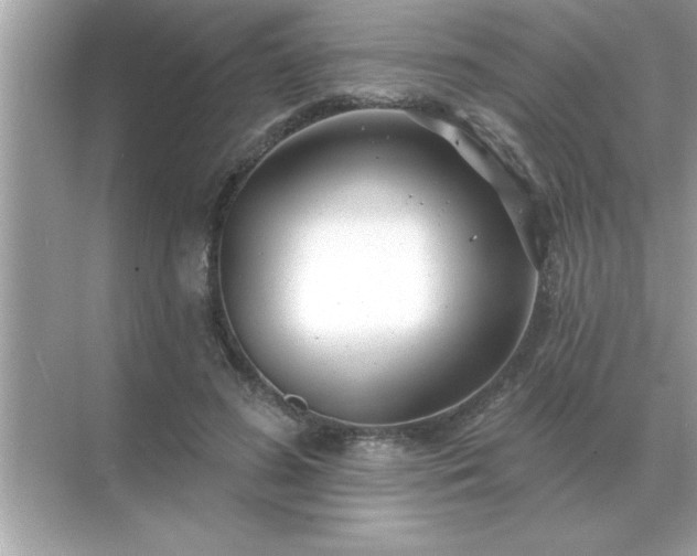 X0000071820596200607072145