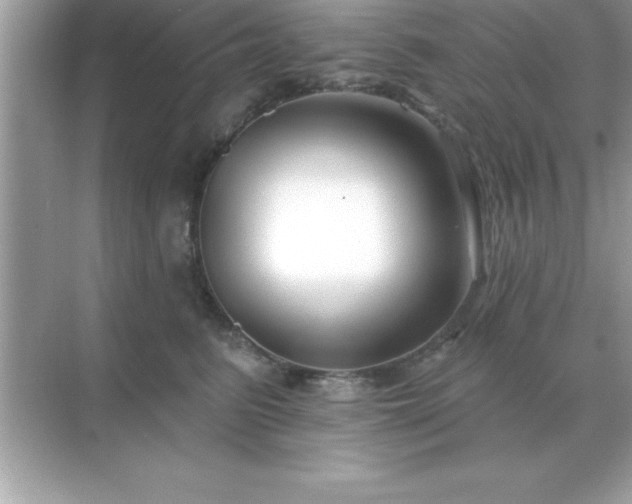 X0000071820615200607072145