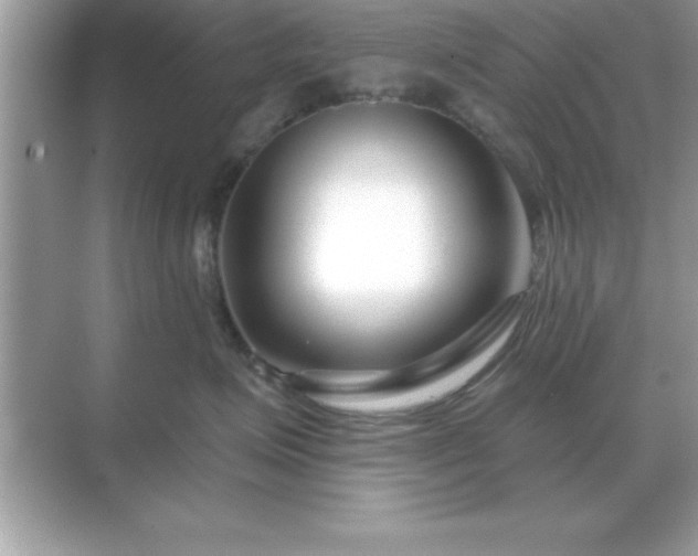 X0000071820623200607072145