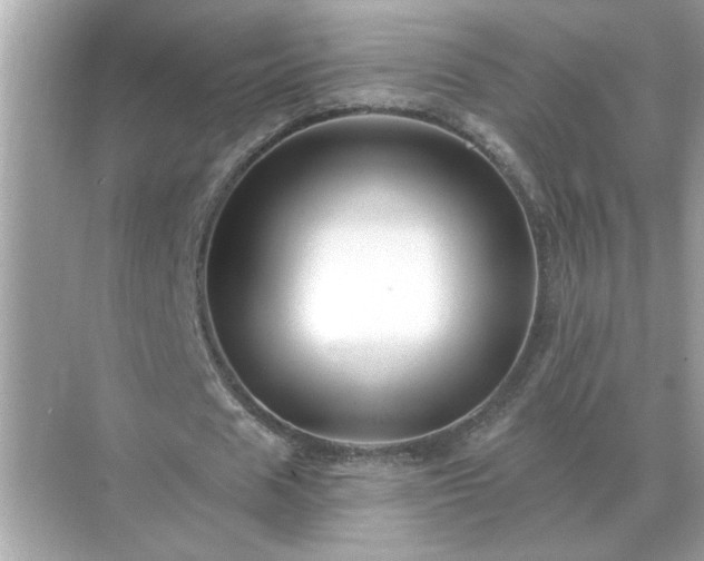 X0000071820625200607072144