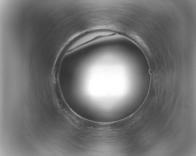 X0000071820628200607072144