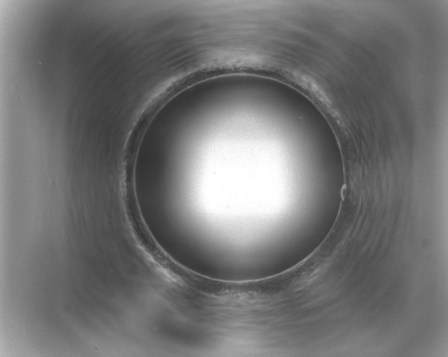 X0000071820629200607072144