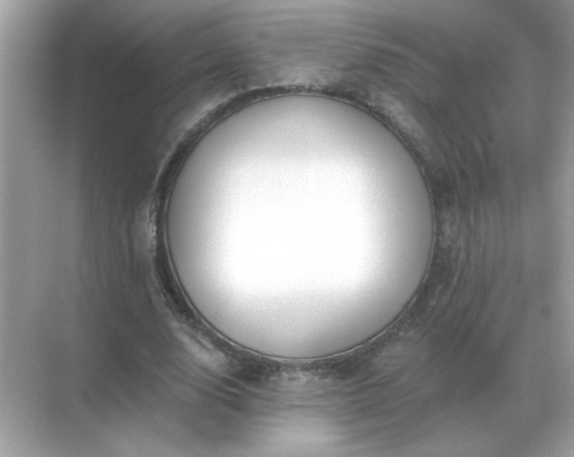 X0000071820632200607072144