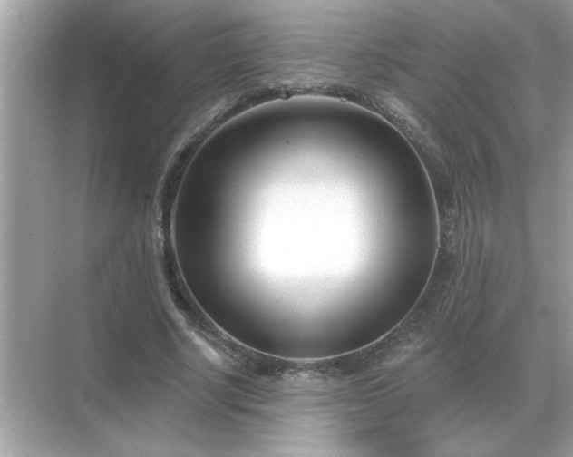 X0000071820634200607072144