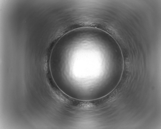 X0000071820642200607072144