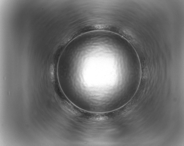 X0000071820646200607072144