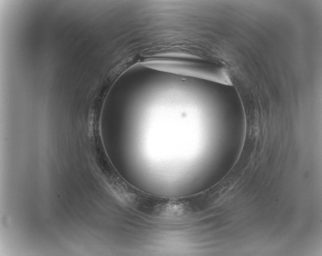 X0000071820647200607072144