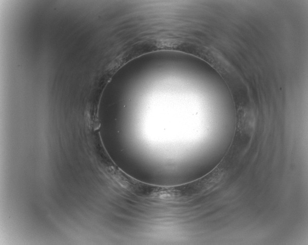 X0000071820655200607072144