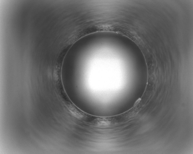 X0000071820658200607072144