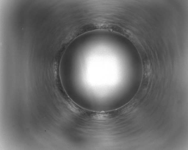 X0000071820664200607072144