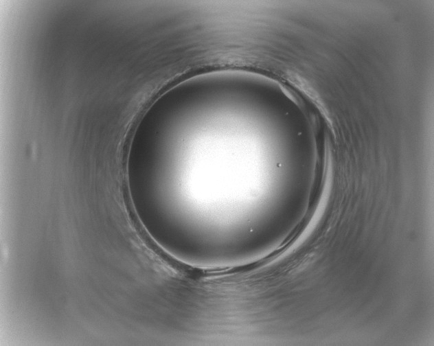 X0000071820673200607072144