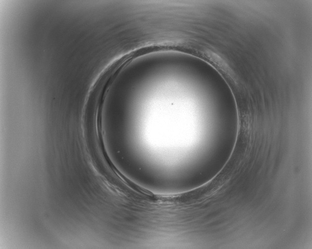 X0000071820676200607072144