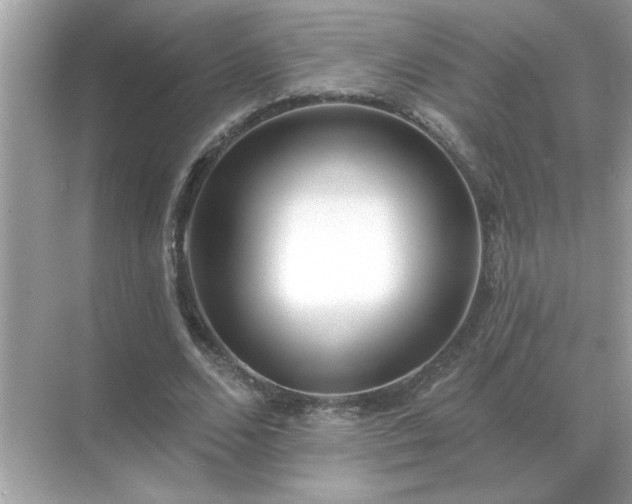 X0000071820680200607072144