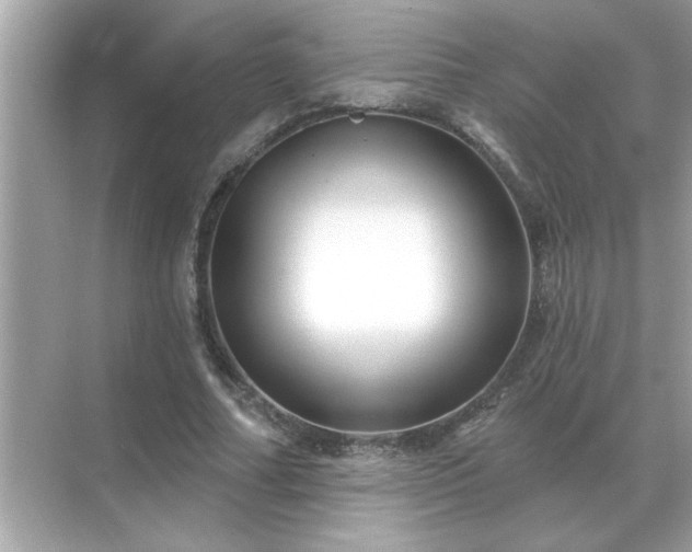 X0000071820682200607072144