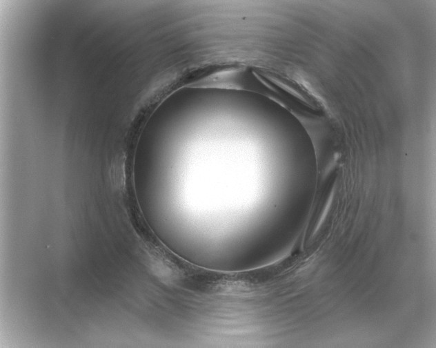 X0000071820685200607072144