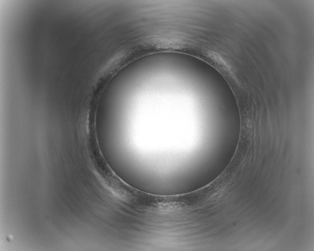 X0000071820686200607072144