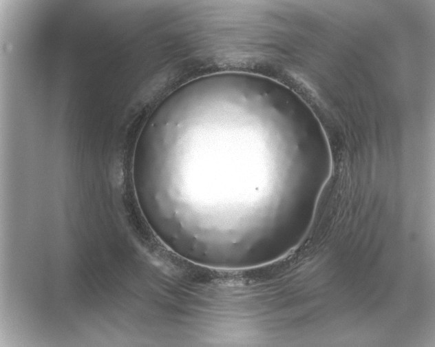 X0000071820687200607072144