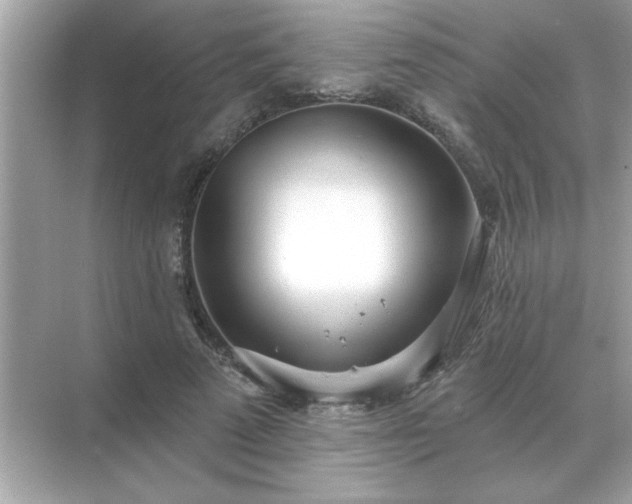X0000071820689200607072144