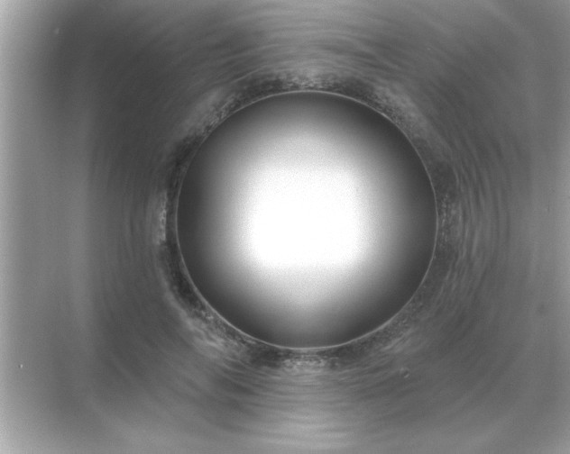 X0000071820694200607072143