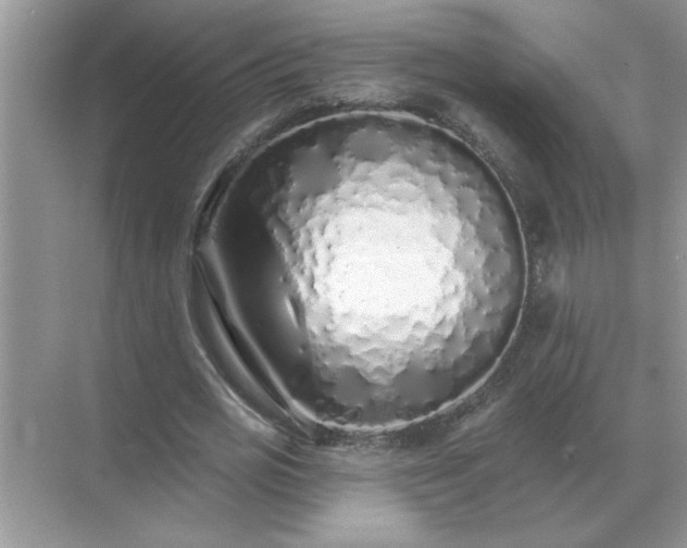 X0000071820725200607072142