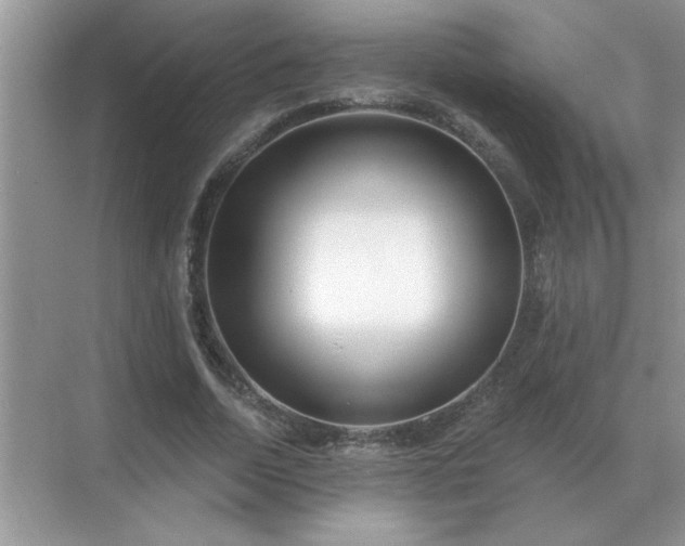X0000071820730200607072142