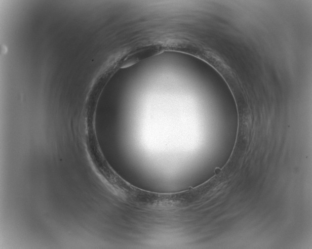 X0000071820734200607072142