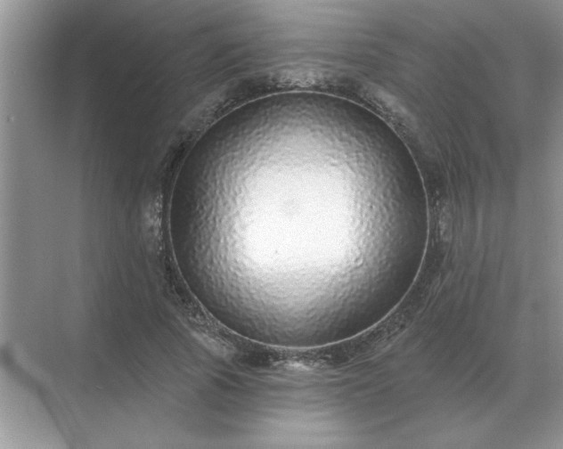 X0000071820737200607072142