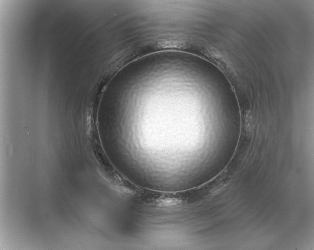 X0000071820741200607072143