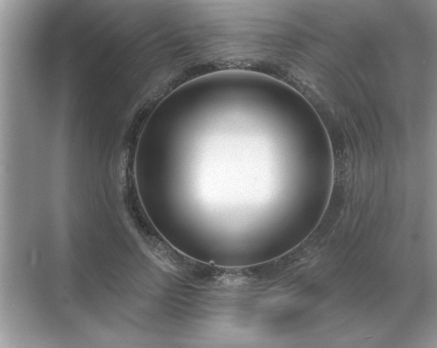 X0000071820742200607072143
